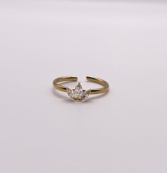 Ring - BEAUTIFUL